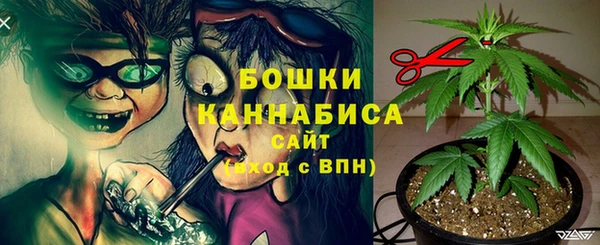 винт Бронницы